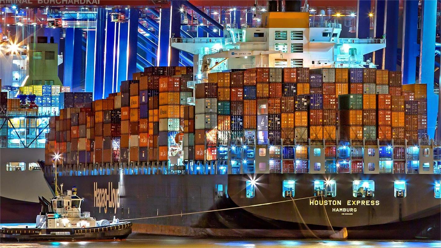 Logistics professional checking international air freight documentation