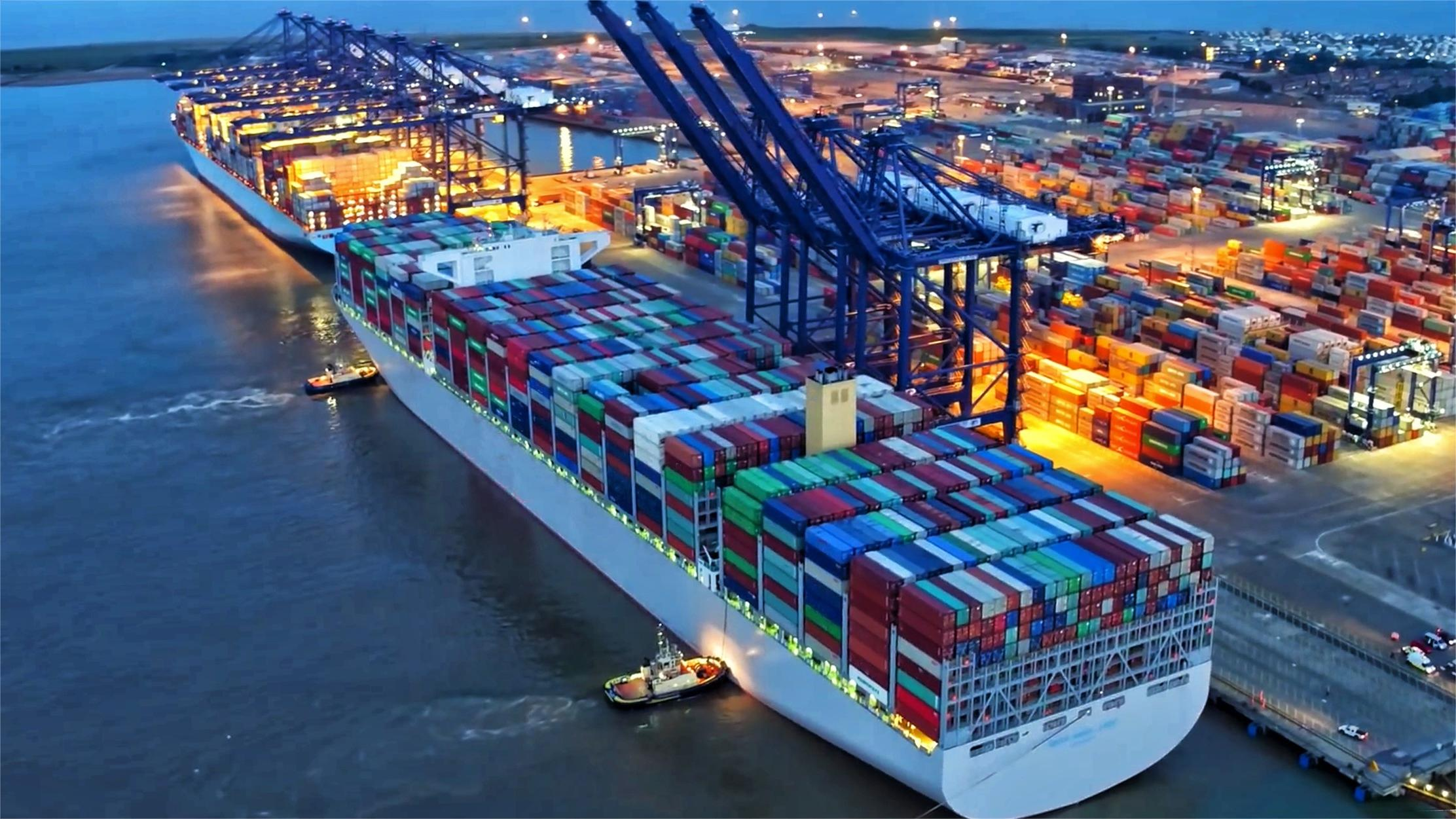 Logistics professional checking customs documentation for FBA shipments